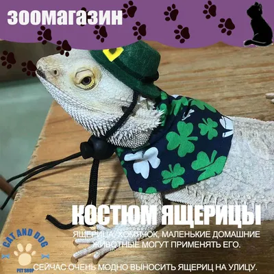 Пустынная шпиндельная маска ящерицы маска для головы животных костюм на  Хэллоуин для взрослых | AliExpress