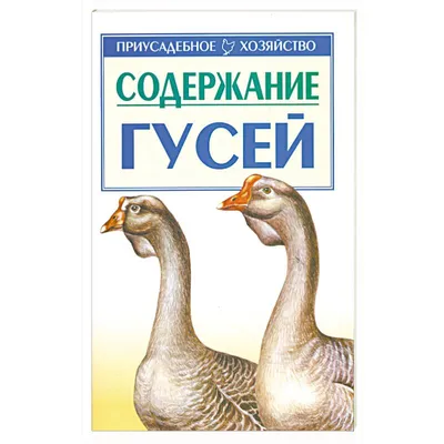 SCP-4135 - Про гуся речь - а он навстречь