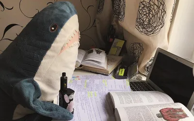 Plush shark Blåhaj (Blaha) has attracted the customers, the Swedish  furniture company a long time ago. But after they fir… | Shark, Shark  plush, Funny baby pictures