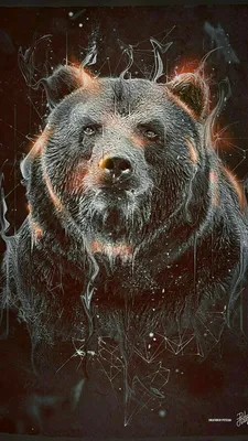 Pin by Игорь Воробьёв on Обои | Bear artwork, Bear tattoos, Grizzly bear  tattoos