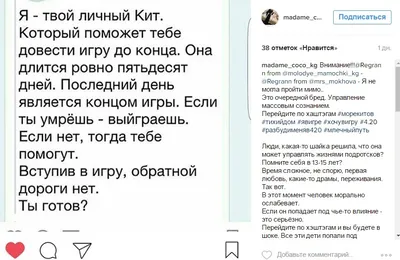 Синий кит. Что мы знаем о \"группах смерти\" в Кыргызстане