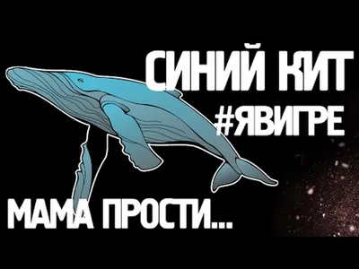 Синих китов» приклеили к жвачке – Коммерсантъ Казань