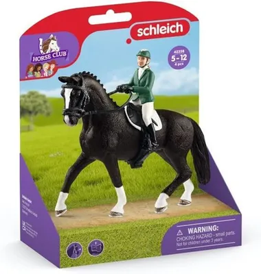 Фигурки Schleich Всадник Horse Club с лошадью 42358/животные/природа/  игрушки для детей/ купить в Москве | Доставка по России.