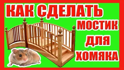 Купить Деревянная игрушка для хомяка, упражнения для мелких животных,  скалолазание (Свинг Грин) | Joom