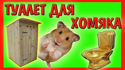 Самодельный 5-уровневый лабиринт — больница для хомяка - YouTube