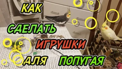 КАК СДЕЛАТЬ ИГРУШКИ ДЛЯ ПОПУГАЯ СВОИМИ РУКАМИ - YouTube