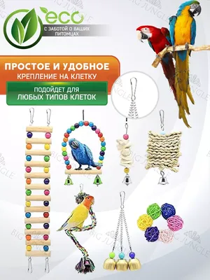 Игрушки для попугая и птиц в клетку Big Jungle 35459731 купить за 827 ₽ в  интернет-магазине Wildberries