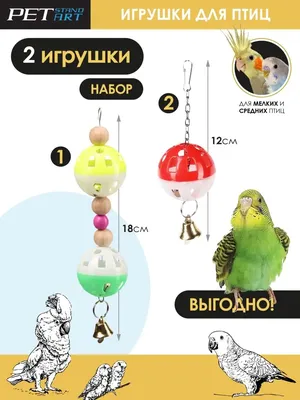 Игрушки для попугаев / Игрушка для попугая Petstandart 48787305 купить за  86 100 сум в интернет-магазине Wildberries