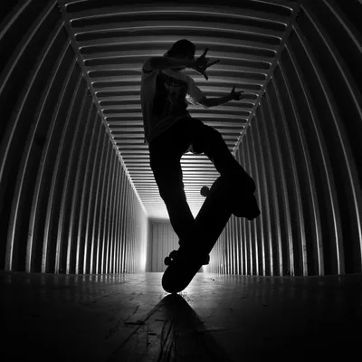 Купить фотографию Родни Маллена на скейтборде. Фотография Родни Маллена, 2012 г., онлайн в Индии — Etsy