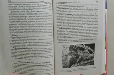 Цирковирусная болезнь свиней (ЦВБС) эпизоотическая и экономическая  значимость, особенности профилактики – тема научной статьи по ветеринарным  наукам читайте бесплатно текст научно-исследовательской работы в  электронной библиотеке КиберЛенинка