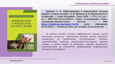 К вопросу диагностики инфекционных болезней свиней - Аграрный бизнес-журнал  «Моя Сибирь»