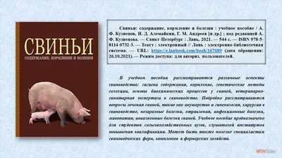 Болезни поросят – список, симптомы и лечение в домашних условиях 🐷🐽🐖 |  Моя скотинка | Дзен