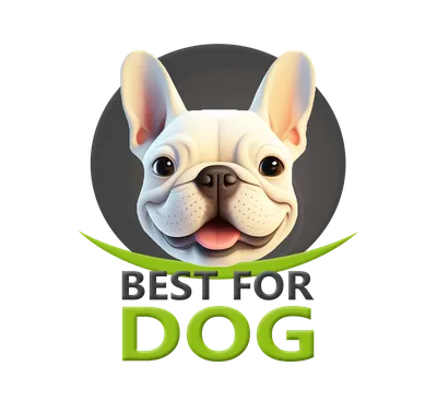 Skin Health - Бальзам для кожи - 60мл – купить за 1 960 ₽ | BESTFORDOG