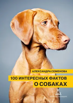 Факты о собаках интересные (66 фото) - картинки sobakovod.club