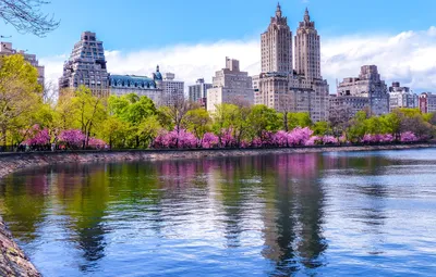 Обои деревья, дома, весна, Нью-Йорк, США, водоем, цветущие, Central Park  картинки на рабочий стол, раздел город - скачать