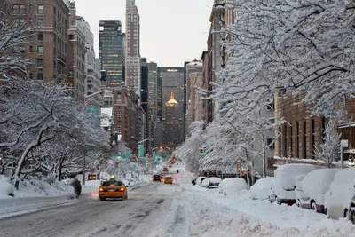 Нью Йорк зимой - 63 фото
