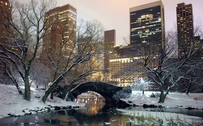 Нью Йорк зимой - 63 фото