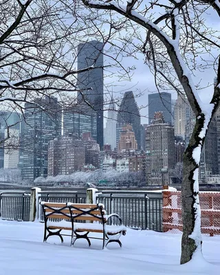 Нью Йорк зимой - 51 фото