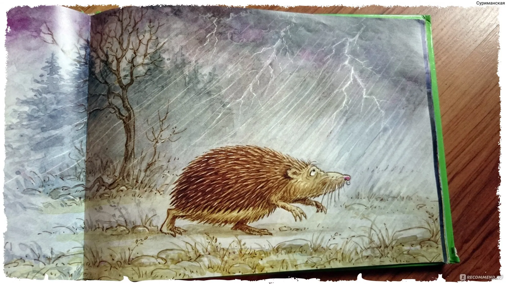 Hedgehog отзывы. Ежик и Медвежонок иллюстрации Норштейна. Сказка история о ворчливом ежике. Норштейн Ежик в тумане.