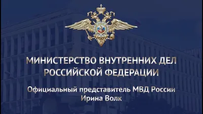 Ирина Волк: интересное из биографии пресс-секретаря МВД | Экспресс-вести |  Дзен