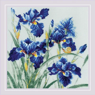 Набор для вышивания крестом «Синие ирисы» (2102) | Цветочные композиции |  Купить наборы для вышивания по доступным ценам в интернет-магазине РИОЛИС