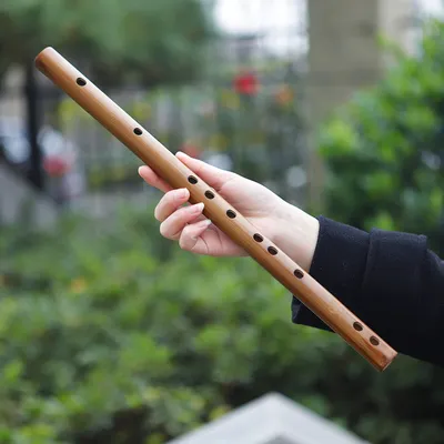 C D E F G ключ бамбуковая флейта для игр дизирующая флейта Китайский  традиционный музыкальный инструмент для начинающих обучение - купить по  выгодной цене | AliExpress