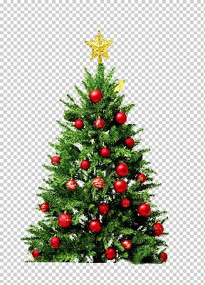 Новогодняя ёлка дед мороз искусственная елка, простая ёлка, праздники,  простые, ветка дерева png | Klipartz