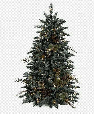 Бальзам Хилл Искусственная елка, елка, праздники, искусственный цветок,  рождественские украшения png | PNGWing
