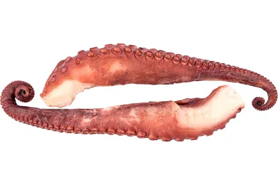 ☰ Осьминог щупальца «Оctopus» дефростований Испания цена от 2900 грн  заказать с доставкой в городе Киев
