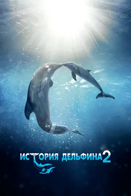 История дельфина / Dolphin Tale (США, 2011) — Фильмы — Вебург