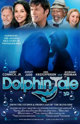 История любви дельфина | записки зубного детектива | Дзен