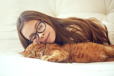 Обои на рабочий стол Девочка в очках задремала рядом с растянувшимся на  постели рыжим котом, обои для рабочего стола, скачать обои, обои бесплатно