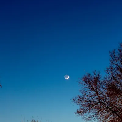 Луна, Венера и Юпитер сошлись в небе над Красноярском