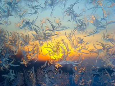 Мороз узор рисует на стекле (Юрий Аркадьевич Тарасов) / Стихи.ру