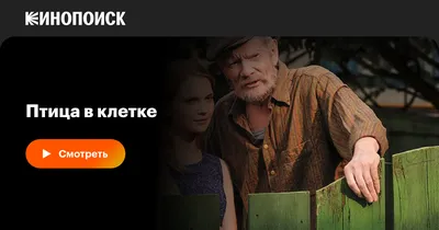 Птица в клетке (сериал, 1 сезон, все серии), 2013 — смотреть онлайн на  русском в хорошем качестве — Кинопоиск