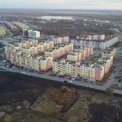 Застройщик в Самаре и Самарской области - Девелоперская компания «Древо» - Южный  город