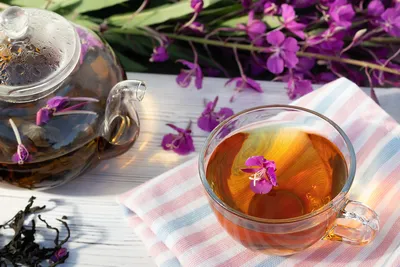 Иван-чай: польза и вред, свойства напитка | РБК Стиль