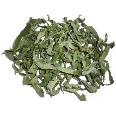 Зеленый иван-чай. Купить по доступной цене.