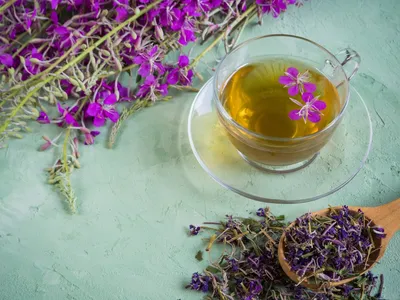 Копорский» чай – лечебный напиток домашнего приготовления. Иван-чай,  кипрей. Полезные свойства — Ботаничка