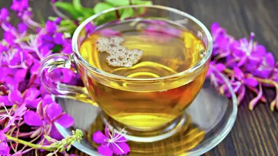 Иван-чай: польза и вред напитка для здоровья женщин и мужчин