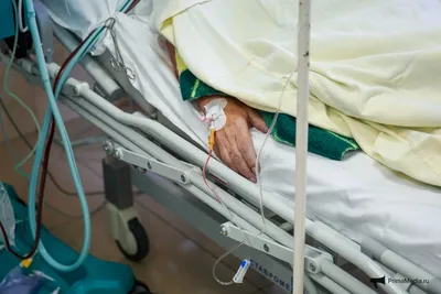 Бабушку отдали из больницы почти в одном памперсе — шокирущая история  медпомощи в Приморье - PrimaMedia