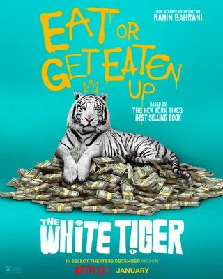 Белый тигр (2020) - White Tiger, The - व्हाइट टाइगर - постеры фильма -  азиатские фильмы - Кино-Театр.Ру