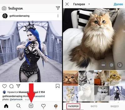 Как добавить фото из галереи в Инстаграм - Всё об Инстаграм: ответы на  вопросы