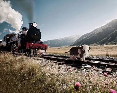 Поезд давит корову — Прикольные обои скачать (1280x1024)