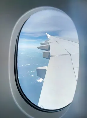 Вид на крыло пассажирского самолета из иллюминатора в небе | Премиум Фото