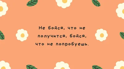 Бесплатные забавные обои на рабочий стол | Скачать шаблоны смешных обоев на  рабочий стол онлайн | Canva