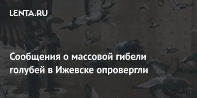 Магнит из бересты г. Ижевск \"Свято-Михайловский Собор\"голуби 84*84мм в  разделе Ижевск интернет магазина сувениров \"Радуга Камня\" - Радуга Камня