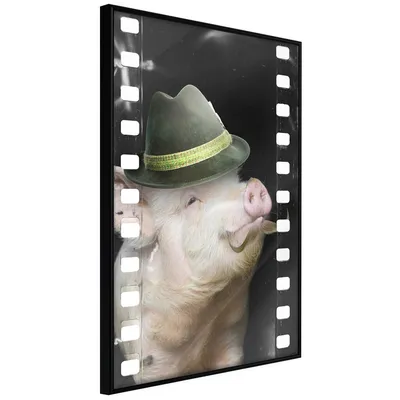 Плакат Dressed Up Piggy цена | 220.lv