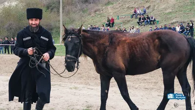 Виртуальная выставка лошадей аборигенных пород