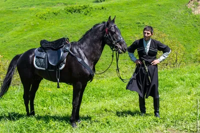 Файл:Фото к статье «Кабардинская лошадь». Военная энциклопедия Сытина  (Санкт-Петербург, 1911-1915).jpg — Википедия